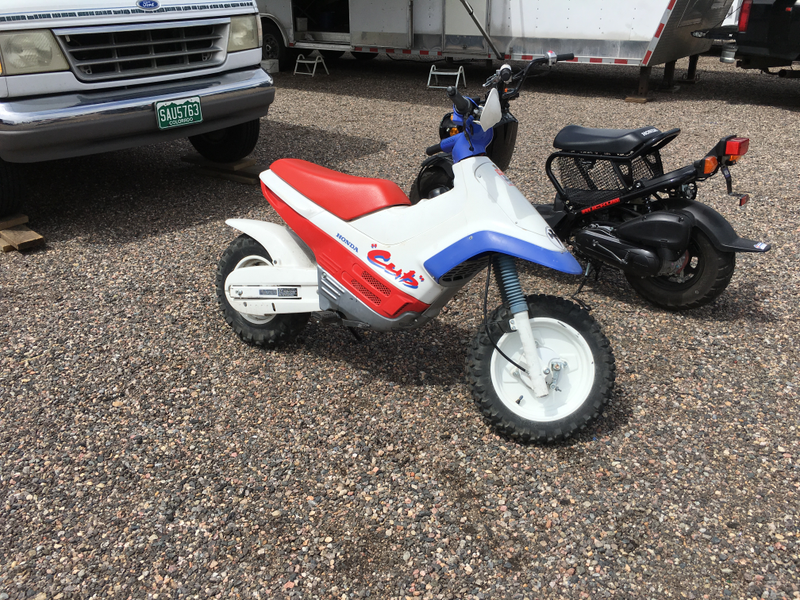 Honda Cub! Great pit bike at High Plains Raceway